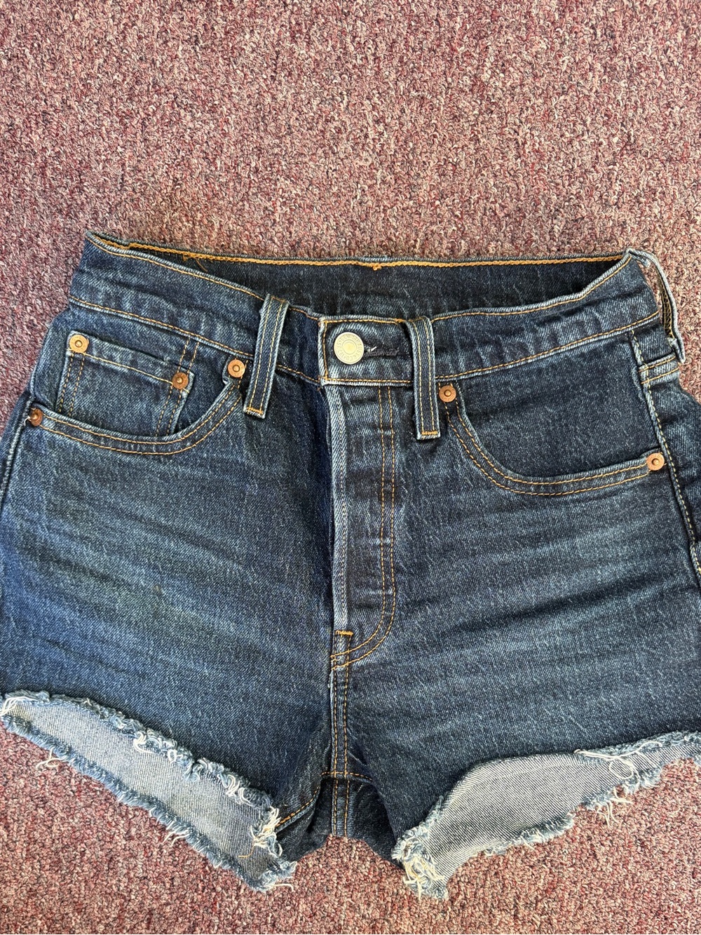 Size 0 / 24 NWOT Distressed Jean Shorts Citizens of Humanity